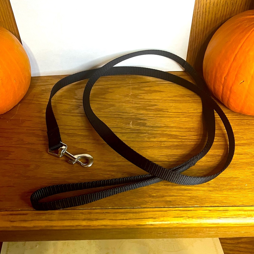 Black Dog Leash